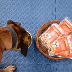 Wet Dog Food Adult, Gravy Toppers, Real Chicken Chunks in Gravy, Dog Food Puppy, All Life Stages, Healthy, Fresh, No Preservatives and Chemicals, 12 x 100g - Image 5