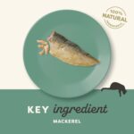 Applaws Premium Cat Wet Complementary Pet Treat Food with Mackerel Loin 30 G (Pack of 12),All Life Stages - Image 3