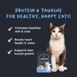 Meowsi by HUFT Tuna & Shrimp Mousse Cat Food - 80 gm | Smooth, Nutritious & High-Protein Wet Food for Persian & All Breeds | Supports Healthy Digestion, Skin & Coat for Cats - Image 3