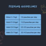 Meowsi by HUFT Tuna & Shrimp Mousse Cat Food - 80 gm | Smooth, Nutritious & High-Protein Wet Food for Persian & All Breeds | Supports Healthy Digestion, Skin & Coat for Cats - Image 7