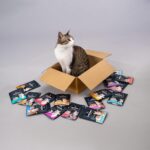 Meowsi by HUFT Tuna & Shrimp Mousse Cat Food - 80 gm | Smooth, Nutritious & High-Protein Wet Food for Persian & All Breeds | Supports Healthy Digestion, Skin & Coat for Cats - Image 9