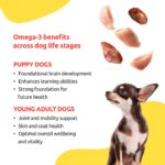 Protein-Rich Chicken & Liver Gravy for Dogs | Pet Nutritious Wet Meal | Puppy & Adult Formula | 70ml Each- Pack of 12 | High Omega-3 for Joint | Delicious Canine Cuisine, Supports Strong Bones - Image 8