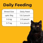 Purrkins Adult Cat Wet Food – Chicken & Liver Pudding Meal (80g x 5 Pack), Grain & Gluten Free, Complete & Balanced Meal for All Cat Breeds, High-Protein Cat Food Pouch - Image 5