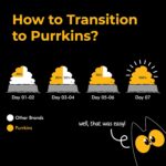 Purrkins Adult Cat Wet Food – Chicken & Liver Pudding Meal (80g x 5 Pack), Grain & Gluten Free, Complete & Balanced Meal for All Cat Breeds, High-Protein Cat Food Pouch - Image 6