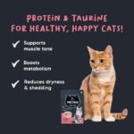 Meowsi by HUFT Light Chicken Mousse Low Calorie Wet Cat Food - 70 gm | Pack of 3 | High-Protein & Balanced Meal for Healthy Weight, Digestion & Energy | for Persian & All Breeds - Image 3