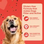 PetMax Dry Dog Food |Gluten Free | Turmeric for Higher Immunity | Amino Acids for Max Energy | Complete & Balanced Food for Mother & Puppy | Suitable for All Breeds (1 KG (Adult), Chicken and Rice) - Image 3