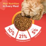 PetMax Dry Dog Food |Gluten Free | Turmeric for Higher Immunity | Amino Acids for Max Energy | Complete & Balanced Food for Mother & Puppy | Suitable for All Breeds (1 KG (Adult), Chicken and Rice) - Image 5