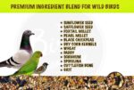 The Birds Company Premium Seed Blend of 9 Grains & Nuts, Bird Feeder Food Refill, Mix Seeds for Outside Wild Birds, Indian Parrot, Sparrow, Doves, 450 g - Image 3