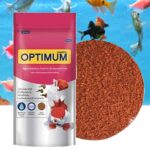 Jainsons Pet products Aquarium Beginner Kit with Air Pump, Aquarium Filter, Syphon, 2 Air Stone with 3 Meter Pipe, Mini Pellet Fish Food 100g and Aquarim Fish Net All in One Aquarium Kit - Image 3
