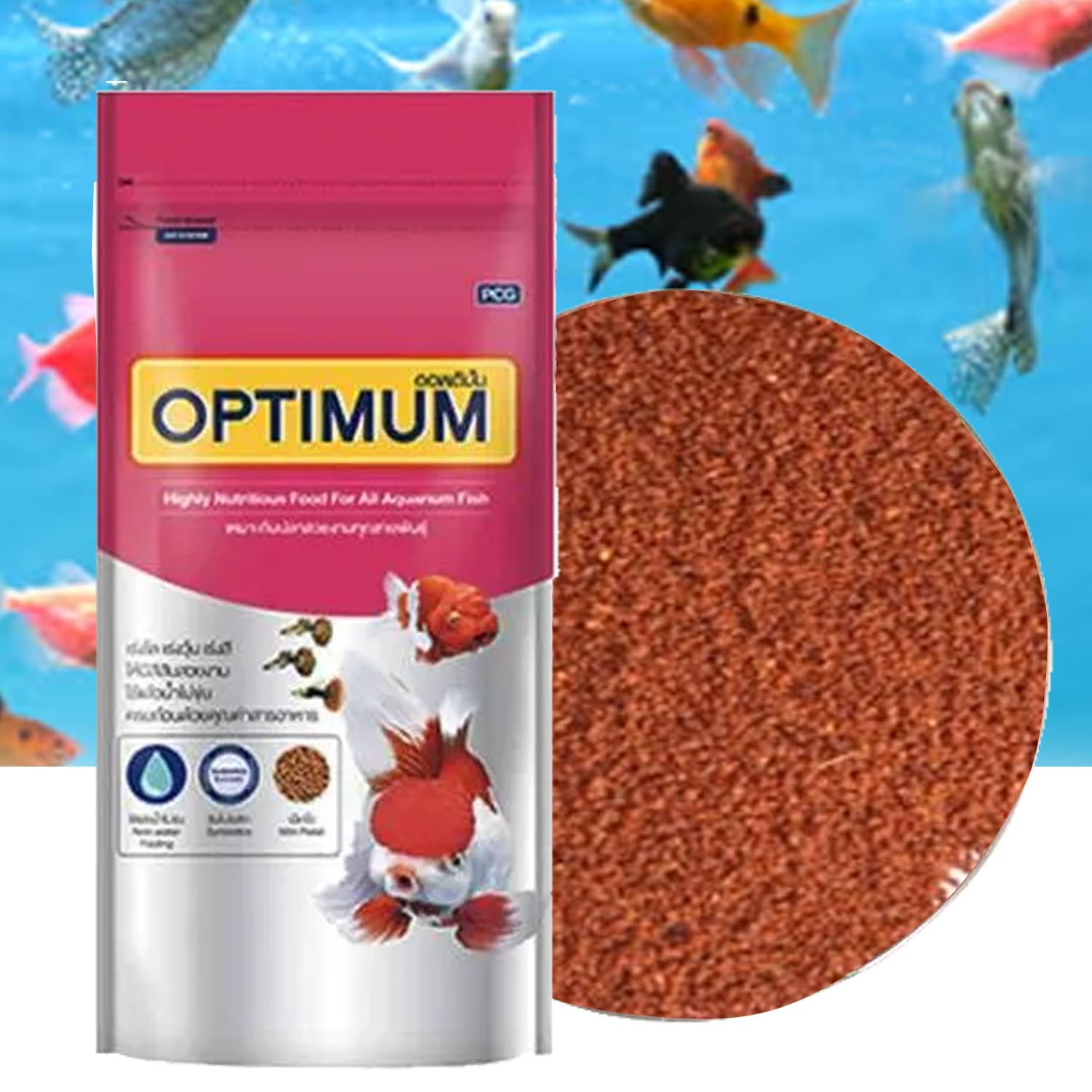 Jainsons Pet products Aquarium Beginner Kit with Air Pump, Aquarium Filter, Syphon, 2 Air Stone with 3 Meter Pipe, Mini Pellet Fish Food 100g and Aquarim Fish Net All in One Aquarium Kit - Image 3