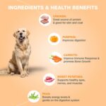 Benny’s Bowl Fresh and Wet Dog Food Chicken and Pumpkin Recipe High Protein Balanced Daily Nutrition Soft Wet Food for All Breed and Life Stages Grain Free (300 gm Single Pack) - Image 5