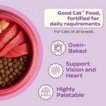 Good Cat Dry Cat Food | Oven Baked | Made with Real Chicken & Ocean 4 Fish | 300g (Pack of 2) | Suitable for All Ages | High Palatability | Tuna, Salmon & Mackerel | Taurine for Vision - Image 3