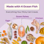 Good Cat Dry Cat Food | Oven Baked | Made with Real Chicken & Ocean 4 Fish | 300g (Pack of 2) | Suitable for All Ages | High Palatability | Tuna, Salmon & Mackerel | Taurine for Vision - Image 4