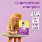 Good Cat Dry Cat Food | Oven Baked | Made with Real Chicken & Ocean 4 Fish | 300g (Pack of 2) | Suitable for All Ages | High Palatability | Tuna, Salmon & Mackerel | Taurine for Vision - Image 6