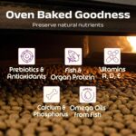 Good Cat Dry Cat Food | Oven Baked | Made with Real Chicken & Ocean 4 Fish | 300g (Pack of 2) | Suitable for All Ages | High Palatability | Tuna, Salmon & Mackerel | Taurine for Vision - Image 7