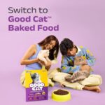 Good Cat Dry Cat Food | Oven Baked | Made with Real Chicken & Ocean 4 Fish | 300g (Pack of 2) | Suitable for All Ages | High Palatability | Tuna, Salmon & Mackerel | Taurine for Vision - Image 8