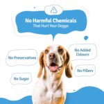 BLEP Chicken Pumpkin Pawer 1.4kg (7 Pack of 200g) - Fresh Dog Food for All Ages|Chicken Breast, Pumpkin, Vegetables, Omega 3 & 6|Grain Free, High Protein, Easily Digestible, Zero Preservative(Wet) - Image 4