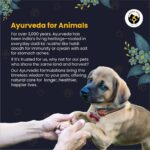 FUR BALL STORY Wag Boost Daily Natural Protein Powder | Loved by Dogs & Cats | for Better Skin, Fur, Bones, Joints & Immunity| Made with Pea Protein, Ashwagandha, Moringa | Upto 30 Servings, 100gm - Image 9