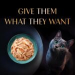 Sheba Rich Premium Adult (1+ Years) Wet Cat Food, Skipjack & Salmon Flavour, 35 g Pouch (Pack of 12), High-moisture wet food for healthy hydration - Image 5