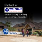 Sheba Rich Premium Adult (1+ Years) Wet Cat Food, Skipjack & Salmon Flavour, 35 g Pouch (Pack of 12), High-moisture wet food for healthy hydration - Image 6