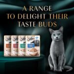 Sheba Rich Premium Adult (1+ Years) Wet Cat Food, Skipjack & Salmon Flavour, 35 g Pouch (Pack of 12), High-moisture wet food for healthy hydration - Image 11