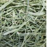 Timothy Hay for Rabbits, Guinea Pigs and Hamsters for All Life Stages | 100% Natural | HIGH Fiber Food (500 Grams) - Image 3