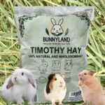 Timothy Hay for Rabbits, Guinea Pigs and Hamsters for All Life Stages | 100% Natural | HIGH Fiber Food (500 Grams) - Image 6