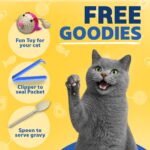 Smylo Natural Healthy Kitten Wet Food (2-12 Months) 70g x 16 Packs | Variety Combo of Tuna & Salmon and Chicken & Liver Recipes | Grain Free, No Preservatives, No by-Products | Vet-Formulated - Image 8