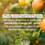 Love Beauty & Planet Curry Leaves, Biotin & Mandarin Natural Conditioner for Split-end Free Long Hair|No Sulfates,No Paraben|400ml - Image 5