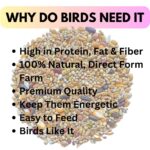 Generic Pets Pro Pigeon, Dove & Hen Food 1 KG | Specially Formulated with Multigrain & Seeds. High-Protein, Millet-Based Diet for Hen & Doves,All Life Stages - Image 4