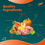 Himalaya Healthy PET Food for Adult Dogs | Chicken & Pumpkin | 1.2kg | Complete & Balanced Nutrition with Mountain Knot Grass, Tree of Heaven, Guduchi & Pumpkin - Image 5