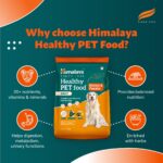 Himalaya Healthy PET Food for Adult Dogs | Chicken & Pumpkin | 1.2kg | Complete & Balanced Nutrition with Mountain Knot Grass, Tree of Heaven, Guduchi & Pumpkin - Image 8