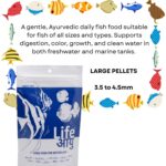 Life AAYU Neutral Fish Food | Ayurvedic Daily Diet for All Fish Sizes | Fresh from 7pets Store (Large, 100gms) - Image 3