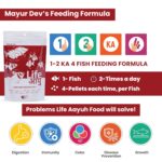 Red Food All Aquarium Medium Fish Food | Daily Nutrition, Slow Sinking Food Pellets Growth 100gm Pack - Image 4