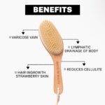 HOUSE OF BEAUTY Wooden Dry Body Brush For Body Massage With Long Handcrafted Handle, Natural Exfoliating, Lymphatic Drainage, Cellulite, Blood Circulation & Dead Skin, Brown - (Pack OF 1) - Image 4