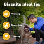 Pedigree Biscrok Biscuits (Above 4 Months) Dog Treats, Lamb Flavour, 900 g, Source of Calcium, Goodness of 15% Protein - Image 3