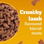 Pedigree Biscrok Biscuits (Above 4 Months) Dog Treats, Lamb Flavour, 900 g, Source of Calcium, Goodness of 15% Protein - Image 6