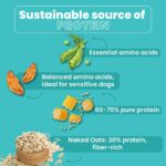 Bark Out Loud Veg Adult Dog Food for Medium & Large Breeds - Naked Oats & Veggies High Protein, Prebiotics, Vitamins & Fibre 100% Vegetarian Dry Dog Food- 300 Gm - Image 4