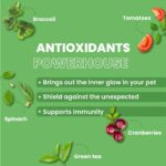 Bark Out Loud Veg Adult Dog Food for Medium & Large Breeds - Naked Oats & Veggies High Protein, Prebiotics, Vitamins & Fibre 100% Vegetarian Dry Dog Food- 300 Gm - Image 5