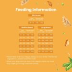 Bark Out Loud Veg Adult Dog Food for Medium & Large Breeds - Naked Oats & Veggies High Protein, Prebiotics, Vitamins & Fibre 100% Vegetarian Dry Dog Food- 300 Gm - Image 7