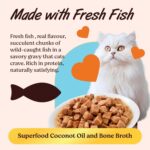 Kennel Kitchen Wet Cat Food for Adults and Kittens, Fish Chunks in Gravy, 12 Pouches (12 X 80 GMS) - Image 4