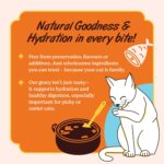 Kennel Kitchen Wet Cat Food for Adults and Kittens, Fish Chunks in Gravy, 12 Pouches (12 X 80 GMS) - Image 6
