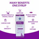 Vital+ Advanced Wellness Formula for Dogs & Cats | Multivitamin Syrup for Healthy Skin, Joints & Boosted Immunity | Nutritional Supplement with Vitamins & Minerals for Enhanced Growth - 200 ml - Image 4