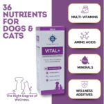 Vital+ Advanced Wellness Formula for Dogs & Cats | Multivitamin Syrup for Healthy Skin, Joints & Boosted Immunity | Nutritional Supplement with Vitamins & Minerals for Enhanced Growth - 200 ml - Image 5