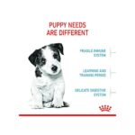 Royal Canin Mini Puppy Food, Dry Food, Supports Complex Natural Defence & digestive health, Supports Immune System, 800 Grams - Image 3