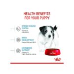 Royal Canin Mini Puppy Food, Dry Food, Supports Complex Natural Defence & digestive health, Supports Immune System, 800 Grams - Image 4