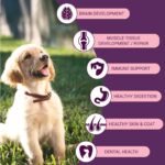 Bowlers Nutrimax Puppy Dry Dog Food | Chicken & Milk |1.2 kg | Smooth Digestion & Healthy Coat | Promote Healthy Growth | Strong Bones & Muscle Development - Image 5