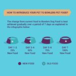 Bowlers Nutrimax Adult Dry Dog Food | Chicken & Vegetables | 3 kg Protein | Smooth Digestion & Healthy Coat | Complete & Balanced Nutrition | Enriched with Essential Amino Acids - Image 8