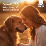 Adult Dry Dog Food Chicken & Vegetable | Dog Food Adult with Real Chicken Protein & Vegetables | Dog Dry Food for Daily Nutrition | No Artificial Additives | 2.8kg - Image 4