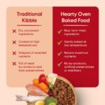 Hearty by HUFT Lamb & Blueberry Dog Food – 5 kg | Adult Dry Dog Food with Superfoods | Oven-Baked & Balanced | All Breed Nutrition | No Artificial Flavours - Image 3